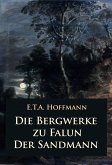 Die Bergwerke zu Falun – Der Sandmann (eBook, ePUB)