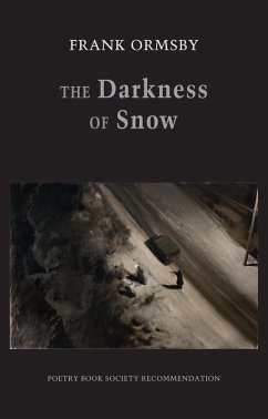 Cover The Darkness of Snow (eBook, ePUB)