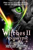 Witches II: Apocalypse (eBook, ePUB)