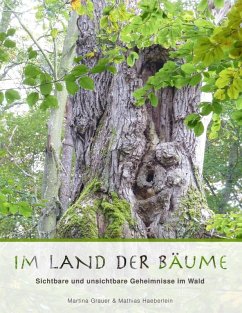 Im Land der Bäume (eBook, ePUB)