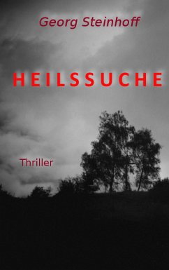 Heilssuche (eBook, ePUB)