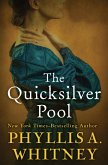 The Quicksilver Pool (eBook, ePUB)