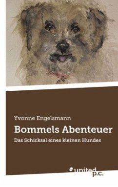 Bommels Abenteuer - Engelsmann, Yvonne