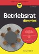 Betriebsrat für Dummies - Bild 1