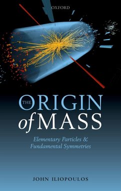 The Origin of Mass (eBook, ePUB) - Iliopoulos, John