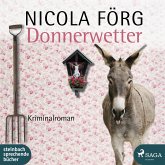Donnerwetter - Ein Allgäu-Krimi (MP3-Download)