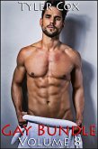 Gay Bundle - Volume 8 (Gay MM Erotic Romance) (eBook, ePUB)