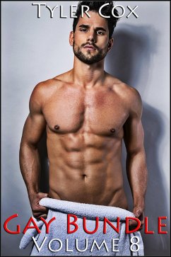 Cover Gay Bundle - Volume 8 (Gay MM Erotic Romance) (eBook, ePUB)