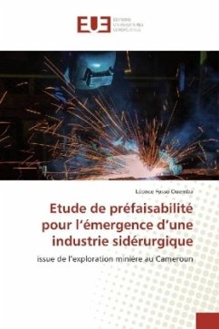 Etude de préfaisabilité pour l'émergence d'une industrie sidérurgique - Fosso Ouemba, Léonce