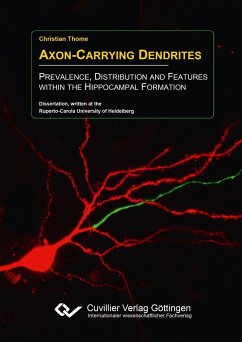 Axon-Carrying Dendrites. Prevalence, Distribution and Features within the Hippocampal Formation - Thome, Christian