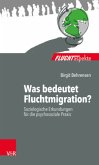 Was bedeutet Fluchtmigration?