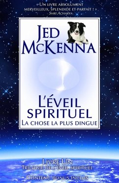 L'éveil spirituel : La chose la plus dingue (eBook, ePUB) - Mckenna, Jed