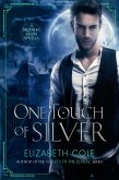 One Touch of Silver (The Brothers Salem) (eBook, ePUB)