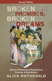 Broken Promises, Broken Dreams (eBook, ePUB)