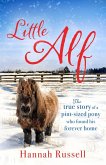Little Alf (eBook, ePUB)