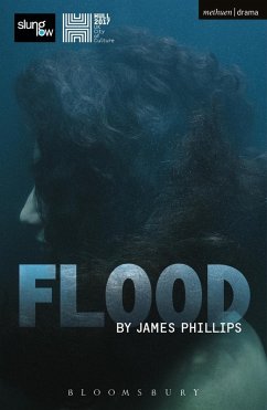 Flood (eBook, PDF) - Phillips, James
