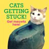 Cats Getting Stuck! (eBook, ePUB) - Bild 1