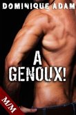 A GENOUX ! Soumis à son Désir (eBook, ePUB)