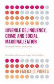 Juvenile Delinquency, Crime and Social Marginalization (eBook, ePUB)