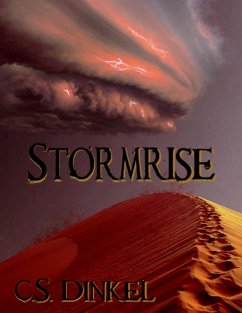 Cover Stormrise (eBook, ePUB)