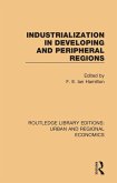 Industrialization in Developing and Peripheral Regions (eBook, PDF)