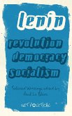 Revolution, Democracy, Socialism (eBook, ePUB)