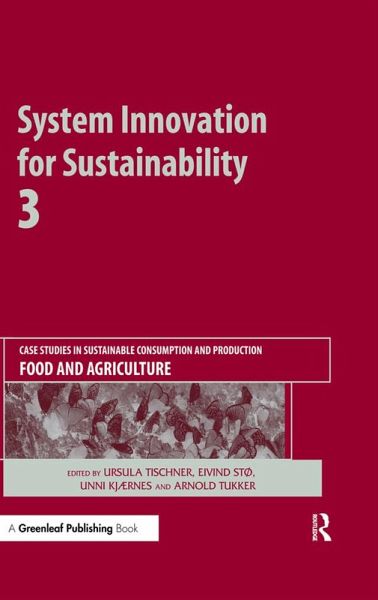 System Innovation for Sustainability 3 (eBook, PDF)