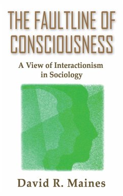 The Faultline of Consciousness (eBook, PDF)