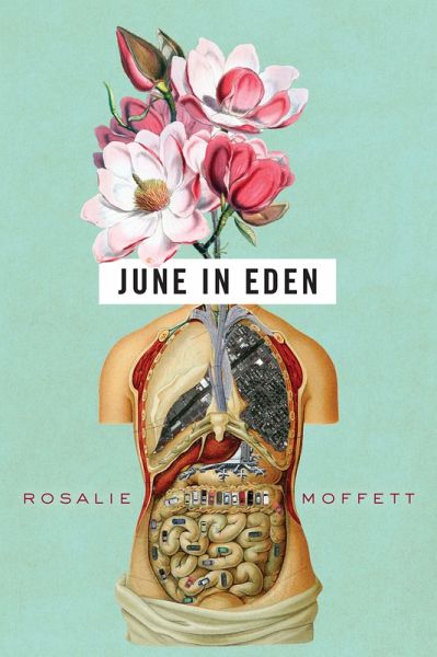 June in Eden (eBook, ePUB) June in Eden (eBook, ePUB)