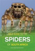 Field Guide to South African Spiders (eBook, PDF)