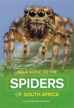 Field Guide to South African Spiders (eBook, PDF) - Dippenaar-Schoeman, Ansie