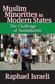 Muslim Minorities in Modern States (eBook, PDF) Muslim Minorities in Modern States (eBook, PDF)
