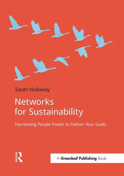 Networks for Sustainability (eBook, PDF)