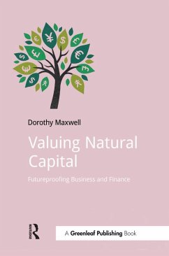 Cover Valuing Natural Capital (eBook, PDF)