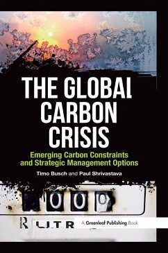 The Global Carbon Crisis (eBook, PDF)
