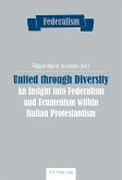 United through Diversity (eBook, ePUB)