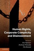 Human Rights, Corporate Complicity and Disinvestment (eBook, ePUB)