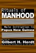 Rituals of Manhood (eBook, PDF) - Bild 1