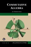 Commutative Algebra (eBook, ePUB)