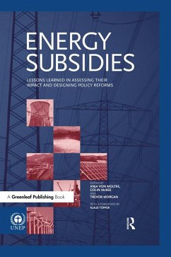 Energy Subsidies (eBook, ePUB)