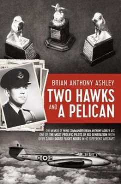 Two Hawks and a Pelican (eBook, ePUB) - Ashley, Brian Anthony