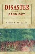 Disaster on the Sandusky (eBook, ePUB) - Bild 1