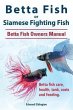 Betta Fish or Siamese Fighting Fish.... - Bild 1