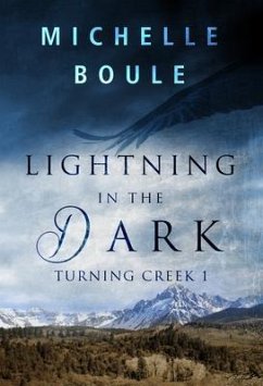 Cover Lightning in the Dark (eBook, ePUB)