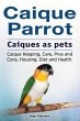 Caique parrot. Caiques as pets. Caique... - Bild 1