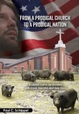 From a Prodigal Church to a Prodigal Nation (eBook, ePUB)