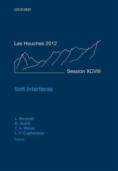 Cover Soft Interfaces (eBook, PDF)
