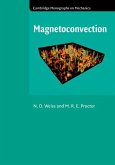 Magnetoconvection (eBook, ePUB)