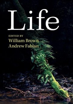 Cover Life (eBook, ePUB)