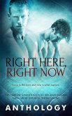 Right Here, Right Now (eBook, ePUB)